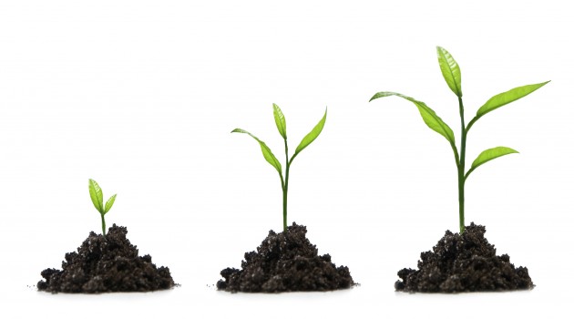 Hãy bắt đầu từ những ý tường nhỏ