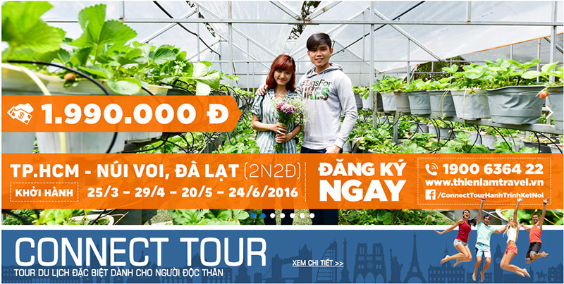 Thiết kế web du lịch